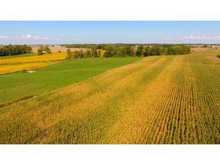 Property photo 13 - PRIME LAND AUCTION - 244+/- ACRES OFFERED IN 4 TRACTS IN UNION CO., IN & PREBLE CO., OH